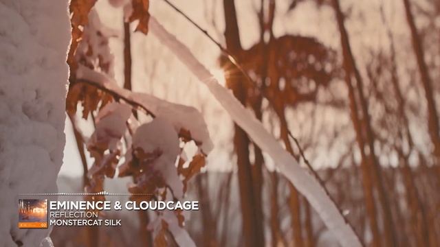 Eminence & Cloudcage - Reflection [Monstercat Release]