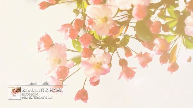 Banaati & Haen - Blossom [Monstercat Release]