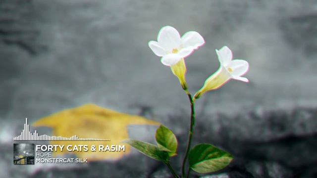 Forty Cats & Ra5im - Hope [Monstercat Release]