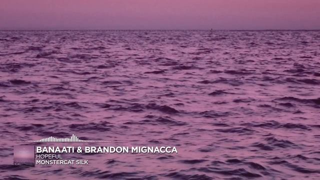 Banaati & Brandon Mignacca - Hopeful [Monstercat Release]