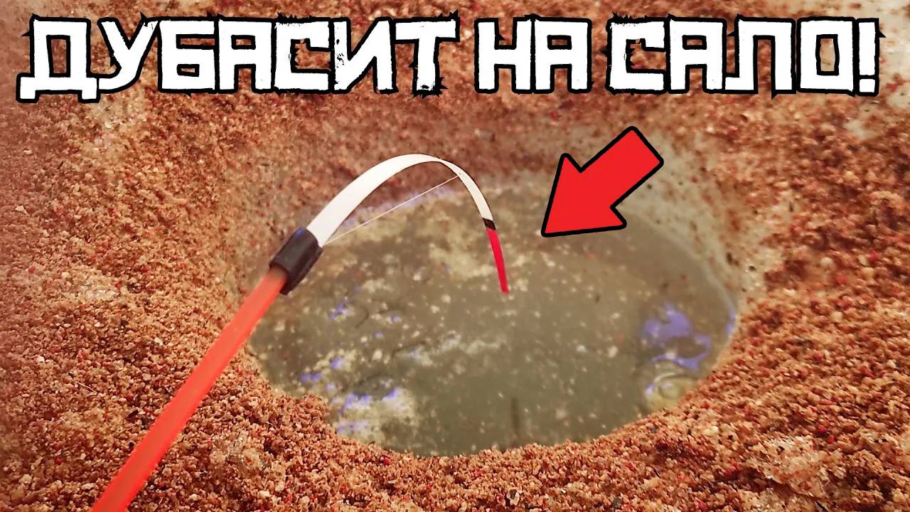 ЧЕСНОЧНЫЙ СЕКРЕТ ПОВЕРГ В УЖАС! Наловили КРУПНЯК на ХИТРОЕ сало! Рыбалка весной 2025
