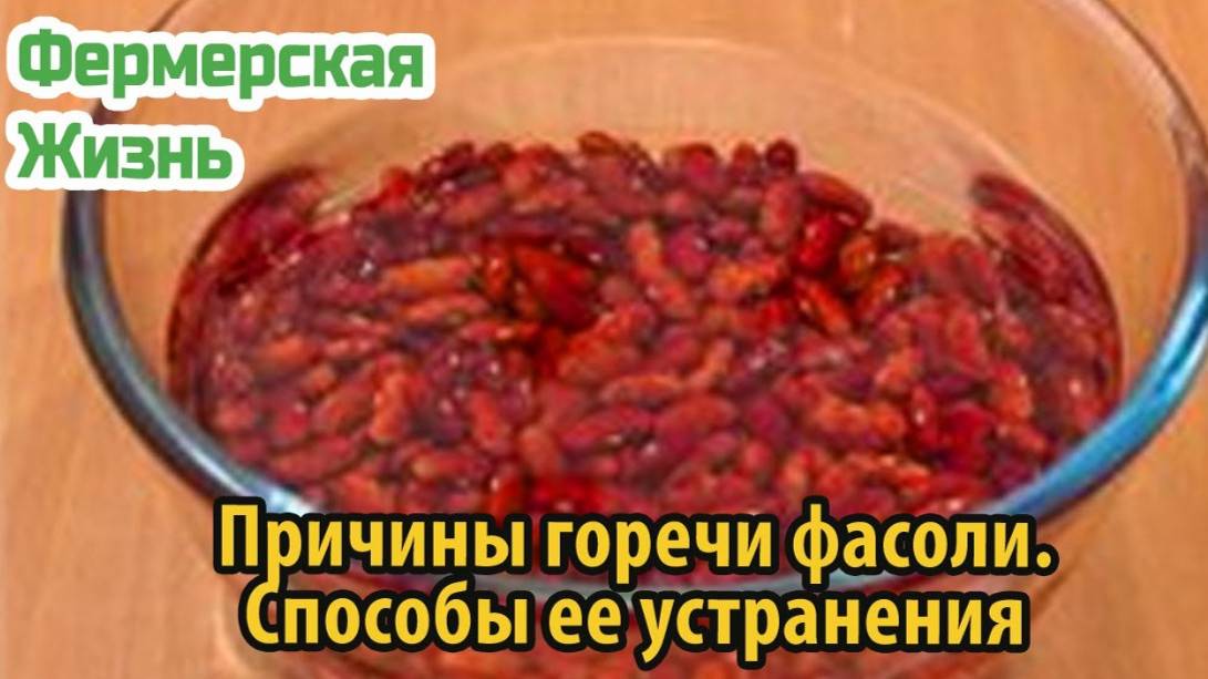 Причины горечи фасоли Способы ее устранения