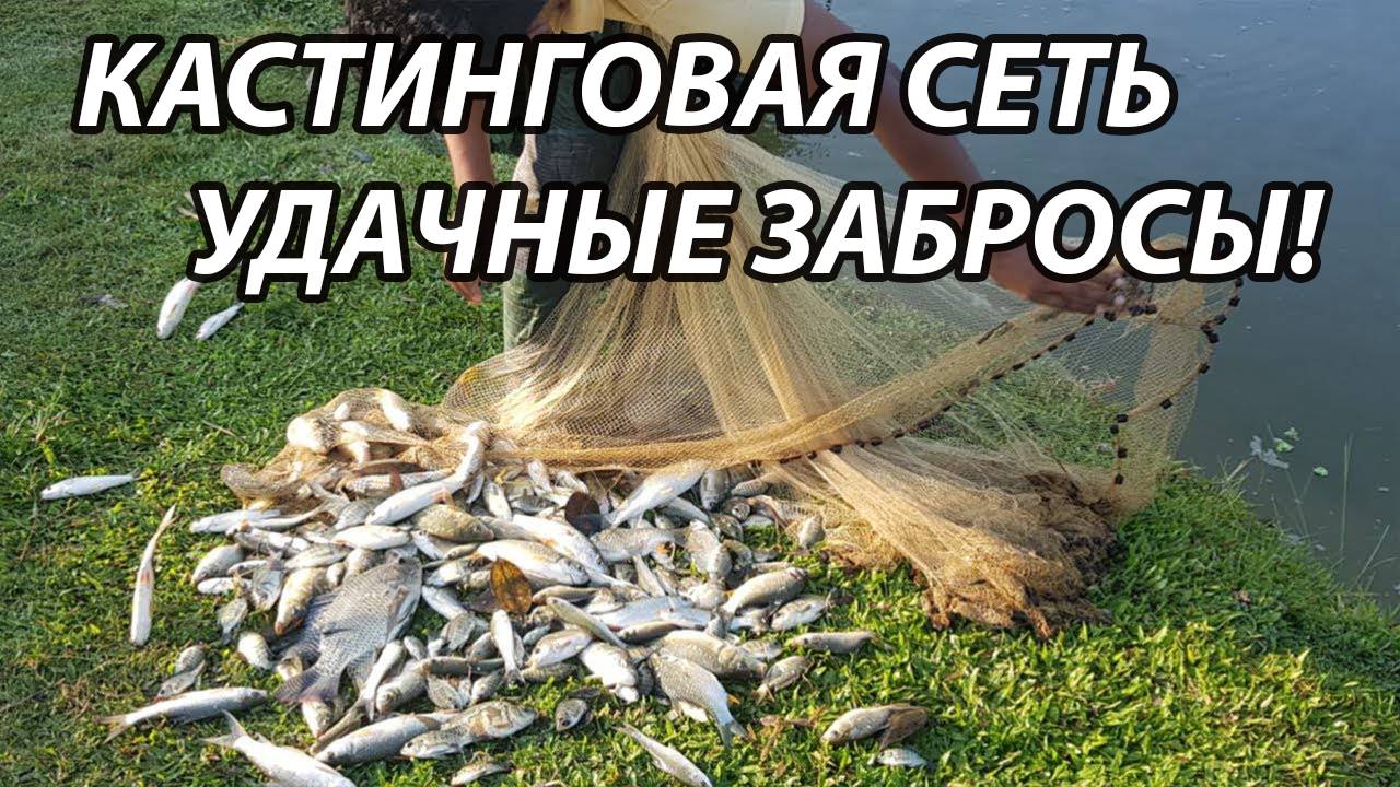 Рыбалка Кастинговой Сетью! Лучшие забросы! ВОТ ЭТО УЛОВ!