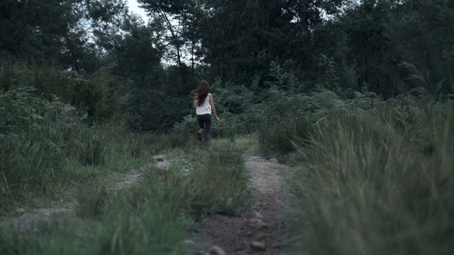 7230822-uhd_3840_2160_25fps