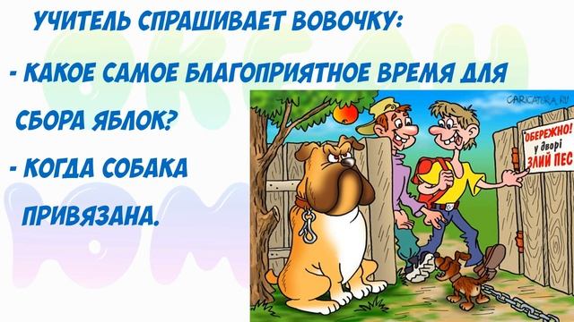 Сборник Анекдотов! № 8!На злобу дня, легко запомнить! Хохма!