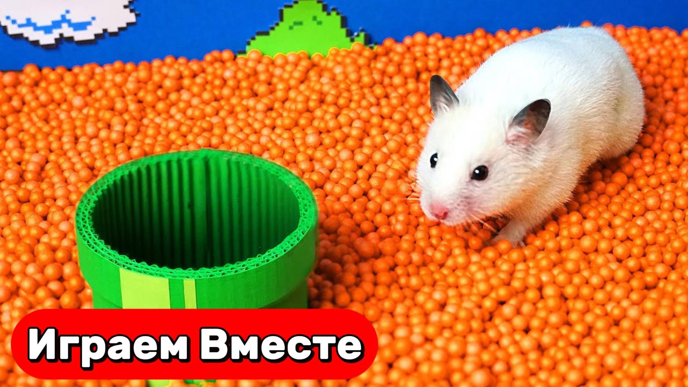 Лабиринт для Хомяка! Умный хомяк выбирается из МАЙНКРАФТ ЛАБИРИНТА с Персонажами из ИГРЫ в КАЛЬМАРА