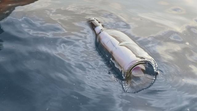 9050073-uhd_4096_2160_25fps