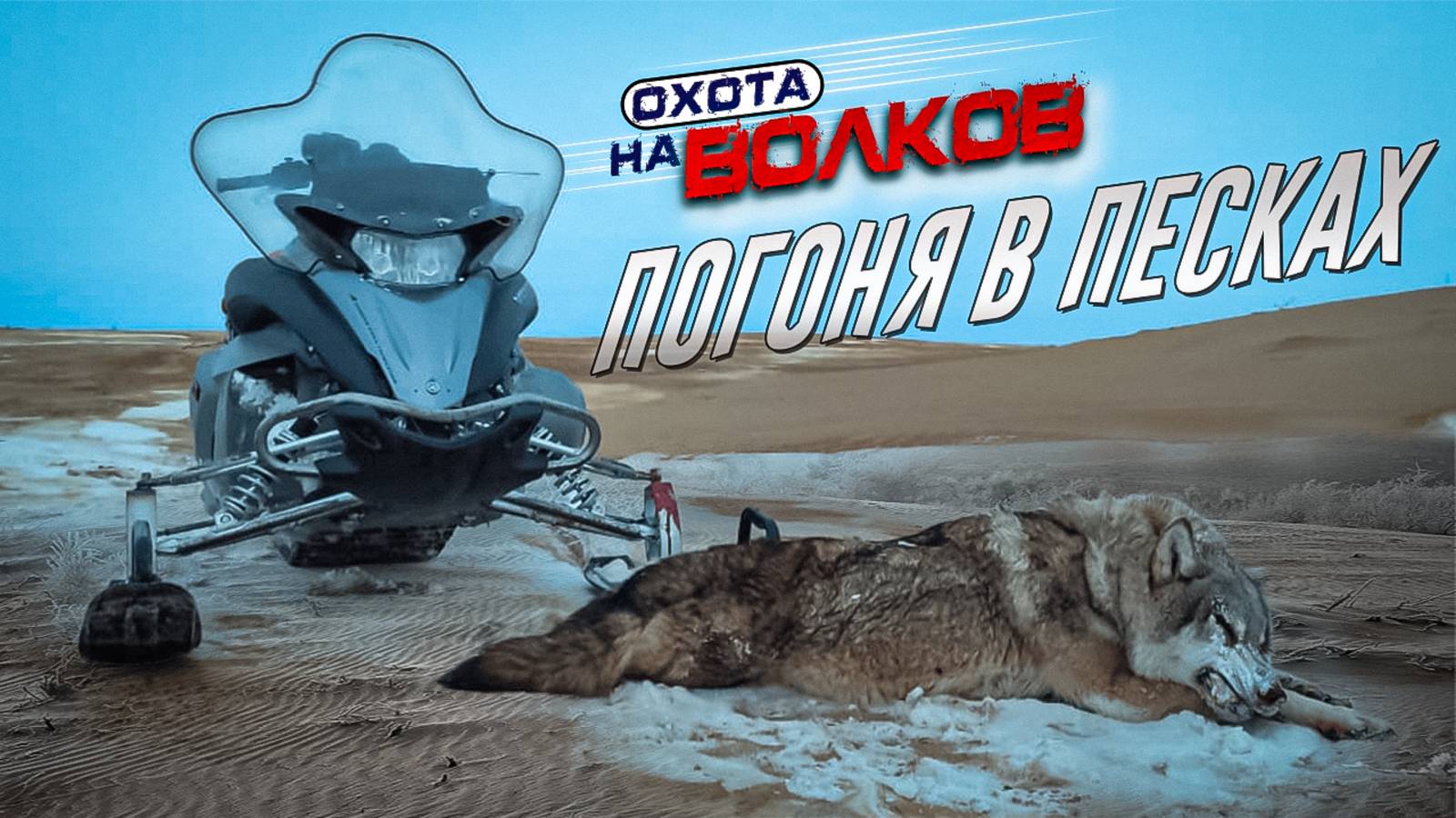Самый трудовой волк за 25 лет.охота на волков