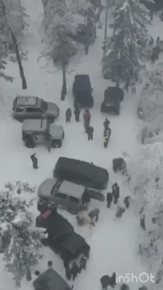 4х4 #шунут