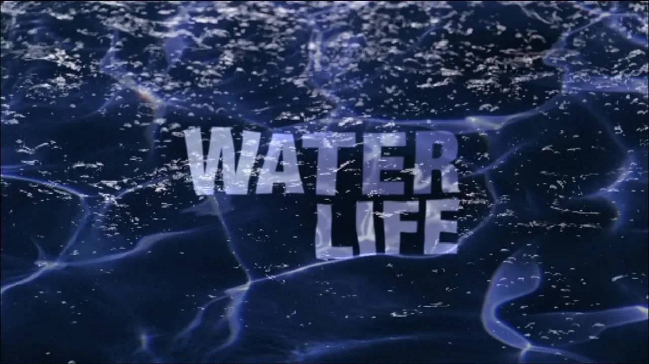 26 сезон 21 серия | Подводный город | Водная жизнь