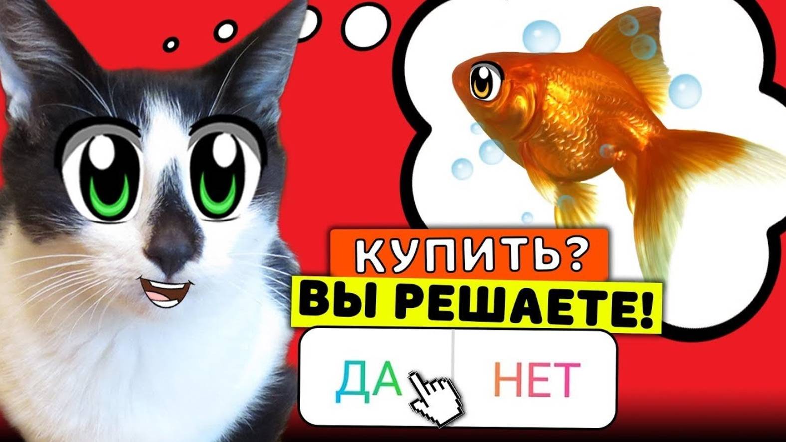 ПОДПИСЧИКИ УПРАВЛЯЮТ МОЕЙ ЖИЗНЬЮ! КОТ И КОШЕЧКА МУРКА ДЕЛАЮТ ВСЕ 24 ЧАСА! А ну-ка давай-ка