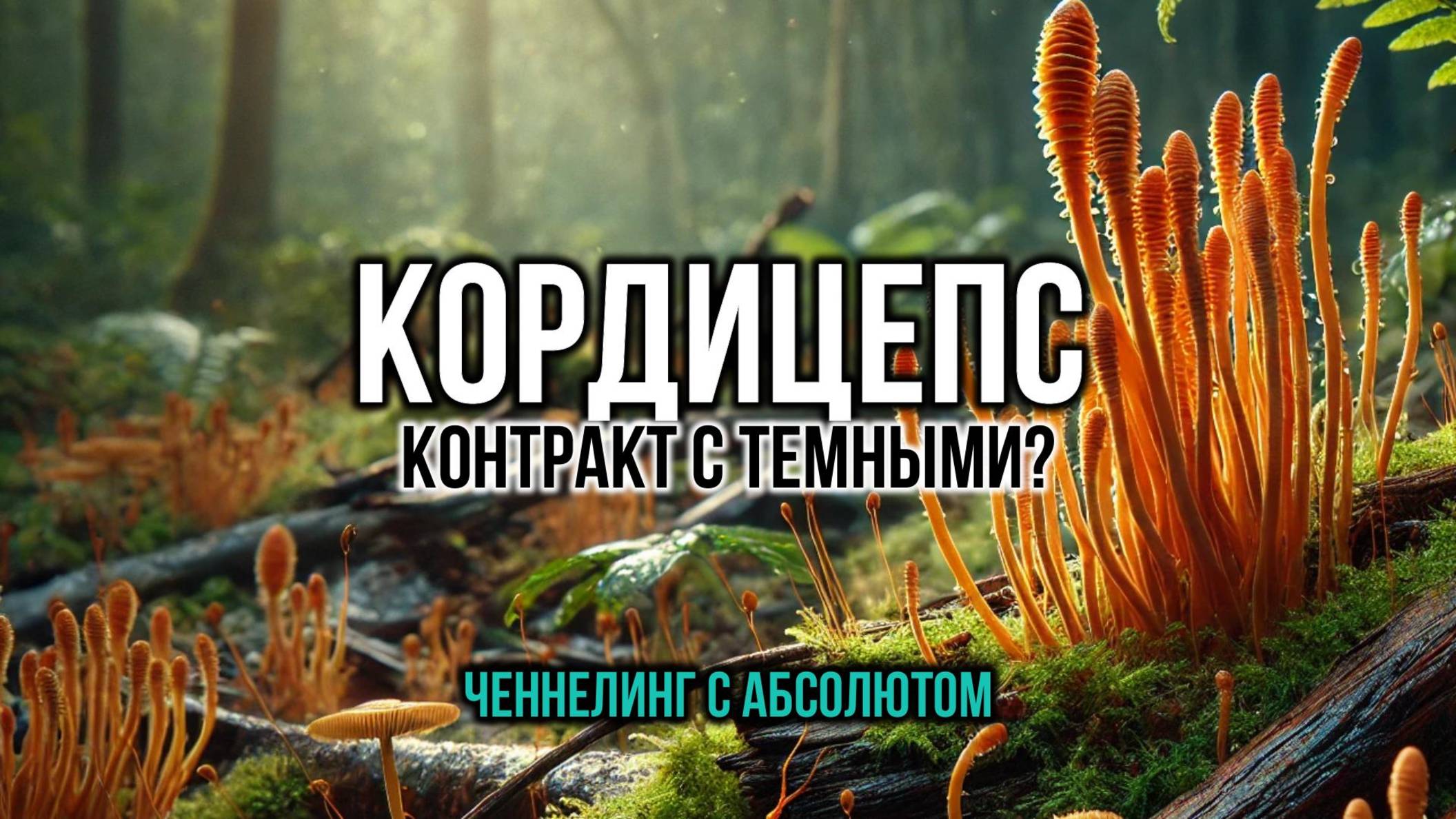 КОРДИЦЕПС: КОНТРАКТ С ТЁМНЫМИ. ЧЕННЕЛИНГ С АБСОЛЮТОМ