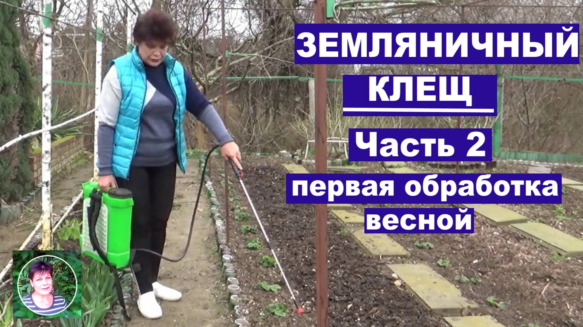 Клещ на клубнике Часть 2 Не опоздайте с первой самой главной весенней обработкой