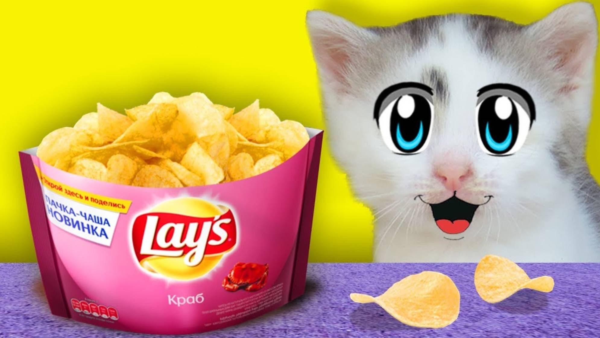 ПРАНКИ НАД КОТАМИ! СМЕШНОЙ КОТ И КОШЕЧКА МУРКА РАЗЫГРАНЫ! ПРИКОЛЫ С КОТАМИ | А ну-ка давай-ка