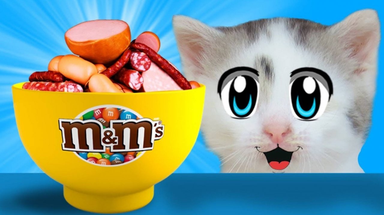 ПРИКОЛЫ С КОТАМИ! СМЕШНОЙ КОТ МАЛЫШ И КОШЕЧКА МУРКА едят КОЛБАСНЫЙ m&ms ! А ну-ка давай-ка