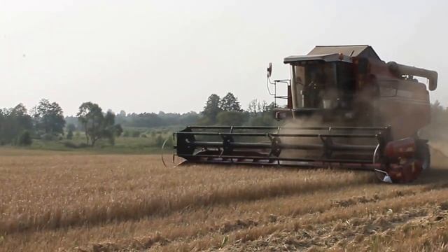 Прямое комбайнирование ячменя в Республике Беларусь сезон 2016 гоод  Урожайность 27 центнеров с гек