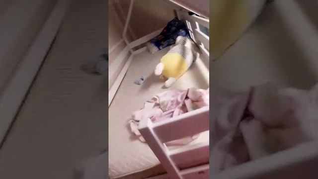 пиить гого лпяьпя