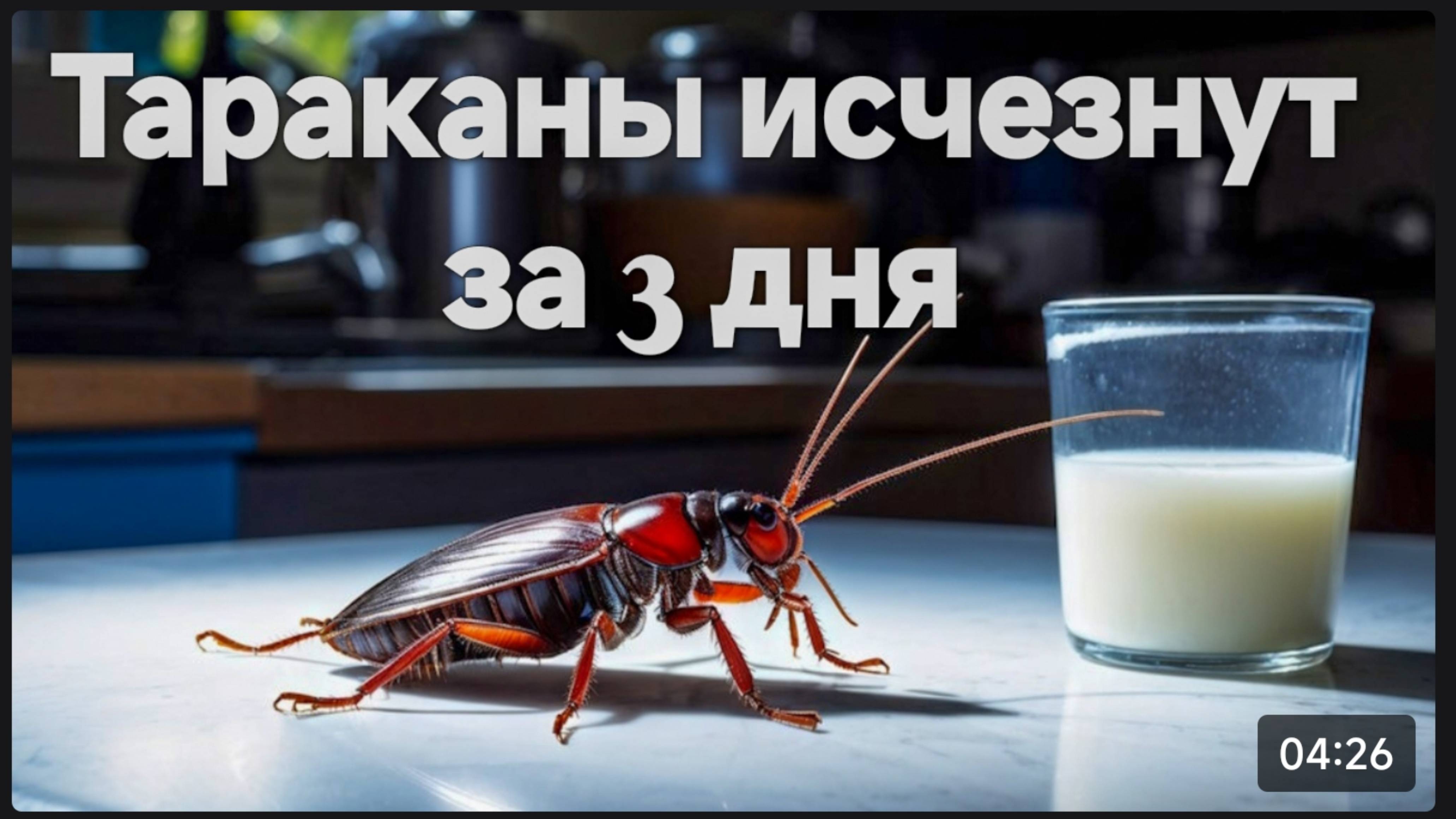КАК ИЗБАВИТЬСЯ ОТ ТАРАКАНОВ БЫСТРО И НАВСЕГДА? ЛУЧШЕЕ СРЕДСТВО ОТ ТАРАКАНОВ.