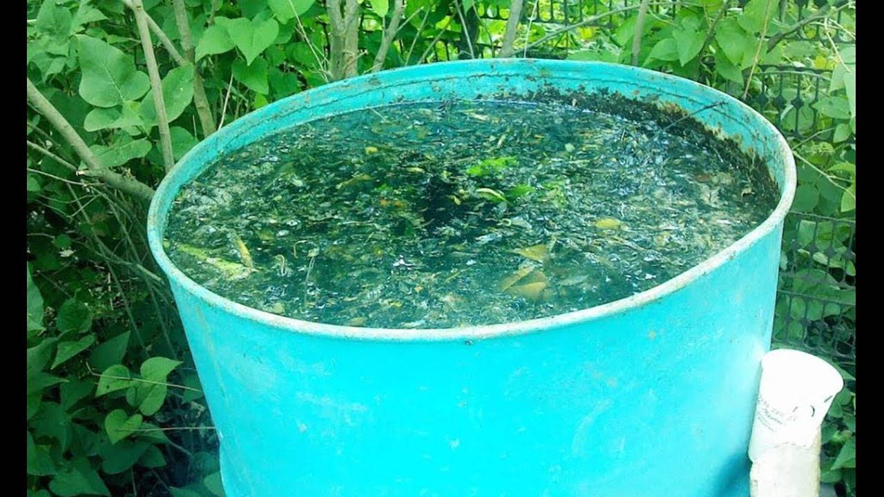 Как избавиться от сорняков и травы на участке навсегда З Секунды!.!!!.!