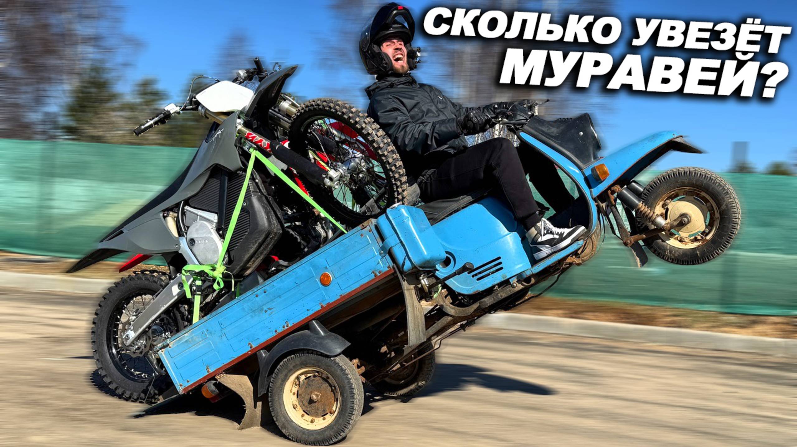 ПЕРЕВОЗИМ КВАРТИРУ, ГАРАЖ И СОБАКУ НА МУРАВЬЕ РАЗОМ!