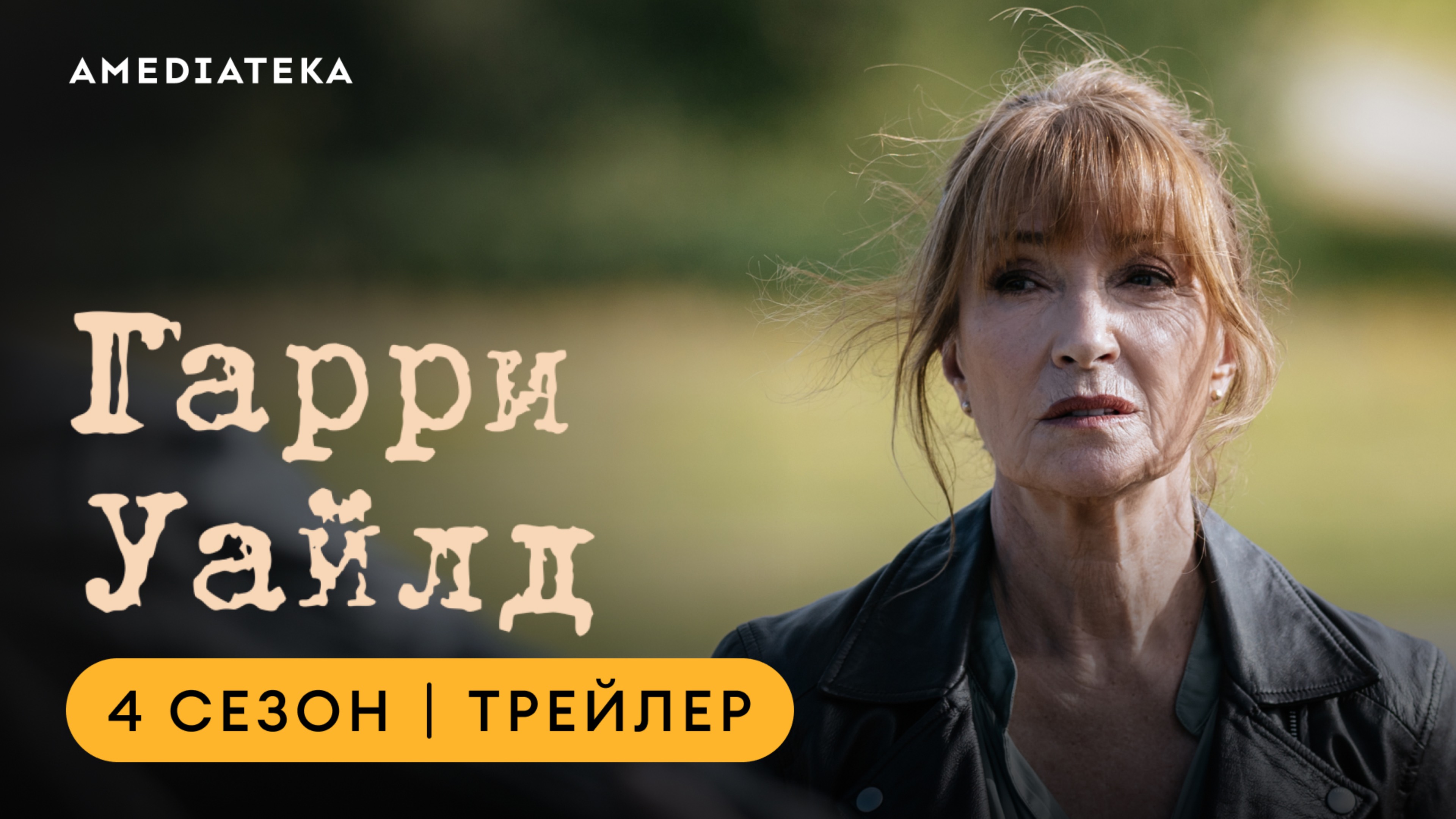 Гарри Уайлд | 4 сезон | Амедиатека