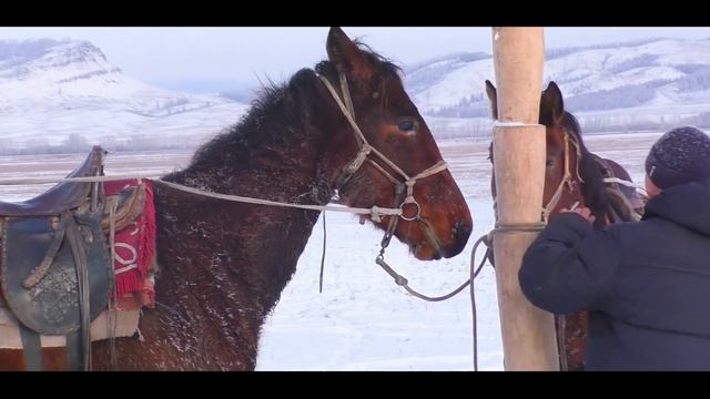 Эдуард Кужугет Олдарымга