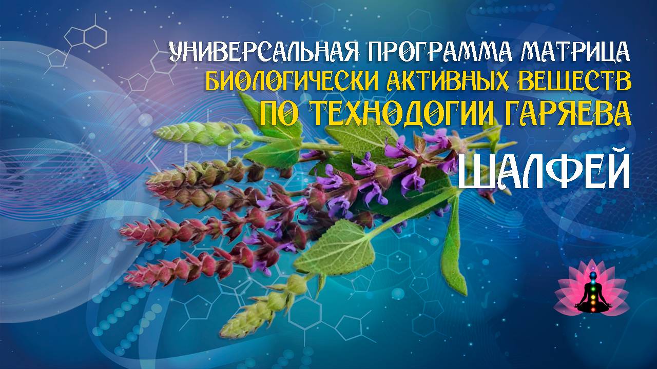 Шалфей 🔊 программа матрица по технологии Гаряева П.П ☀️ SoftRadio.ru