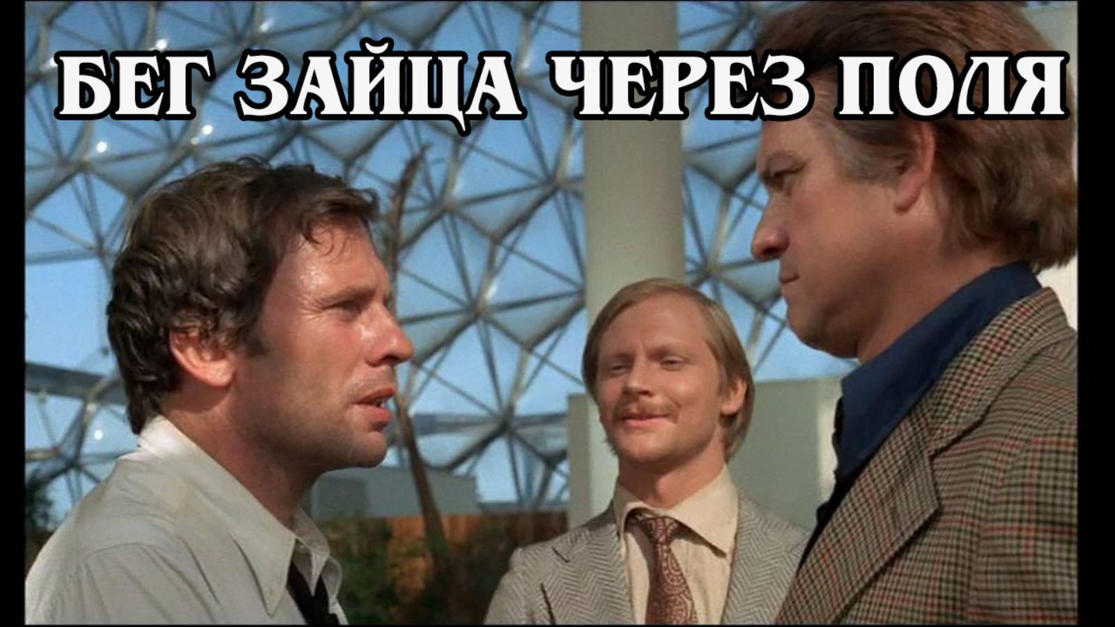 Бег зайца через поля (HD)