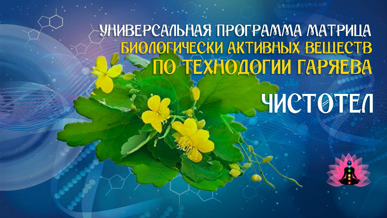 Чистотел 🔊 программа матрица по технологии Гаряева П.П ☀️ SoftRadio.ru