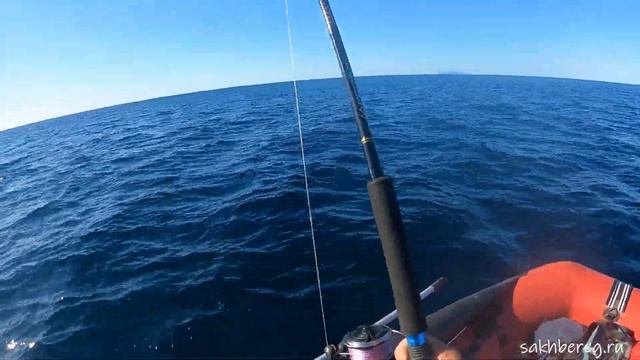 Рыбалка на голубого тунца. Остров Сахалин #fishing #tuna #bluefi