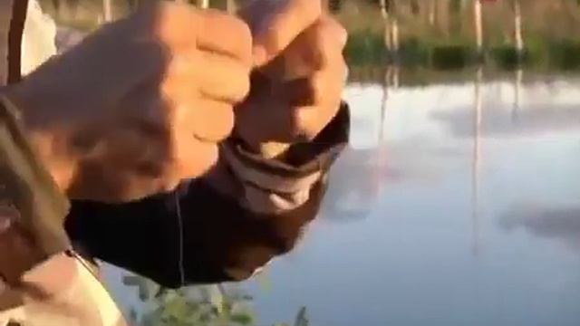 Карась на отводной поводок