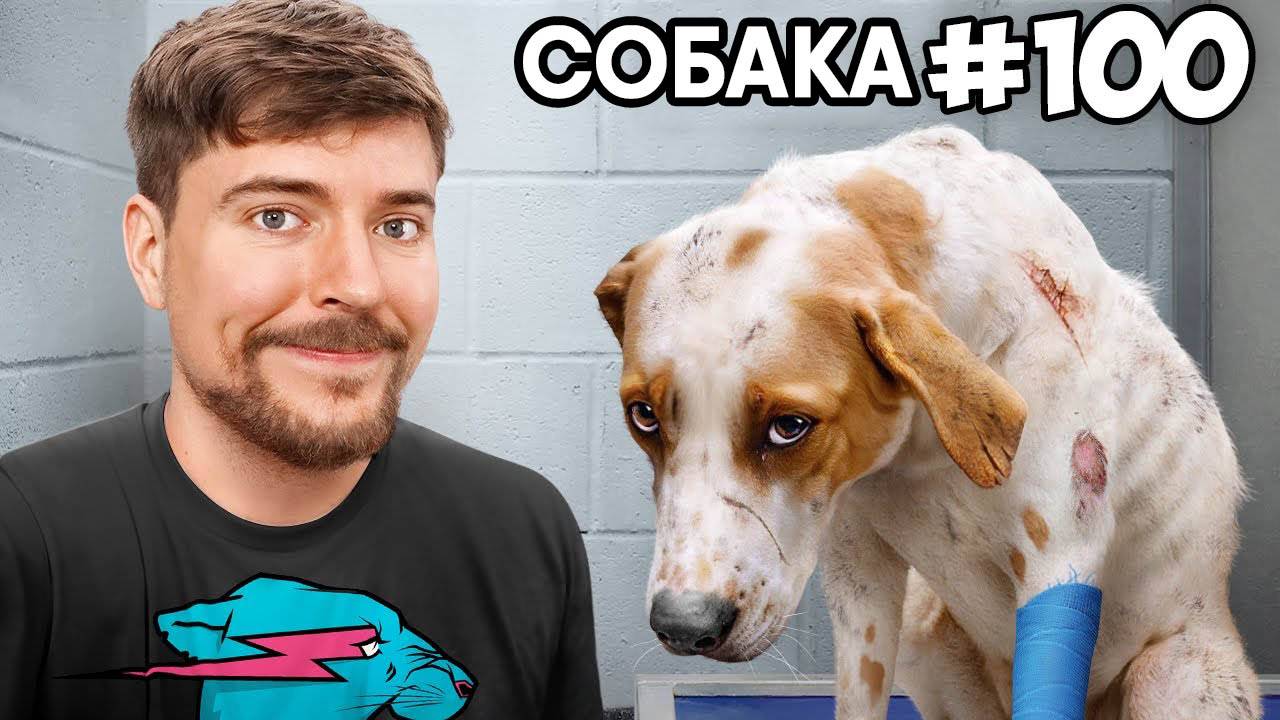 Спас 100 брошенных собак!