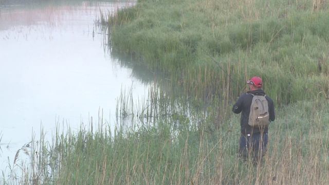 Река моего детства, душа поет и глаз радуется. Ловля щуки на микроречках
