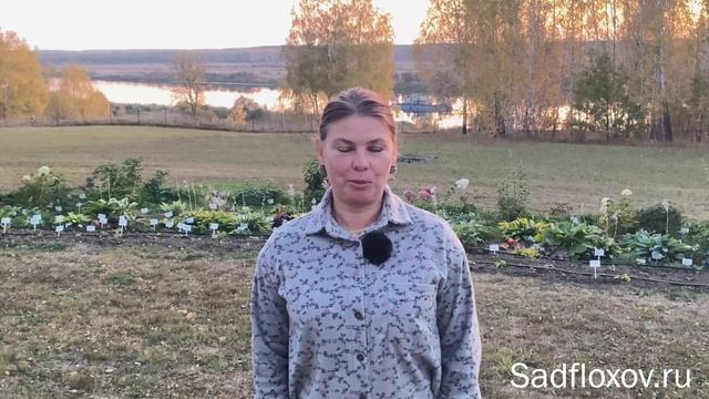 Канал Сад Флоксов Анны Калугиной. Нас 100.000!