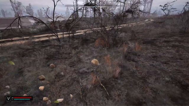 СТАЛКЕР 2, ТАЙНИК, ХАБАР, НЫЧКИ, ВИНТОВКА "ДНИПРО" + все ?