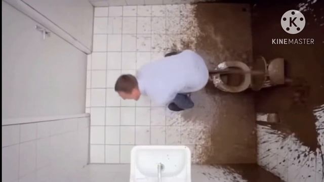 Туалет для какашка