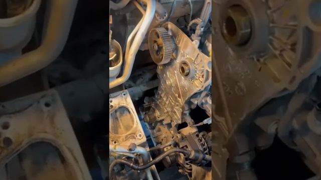 Замена ремня Грм Skoda Rapid 1.6