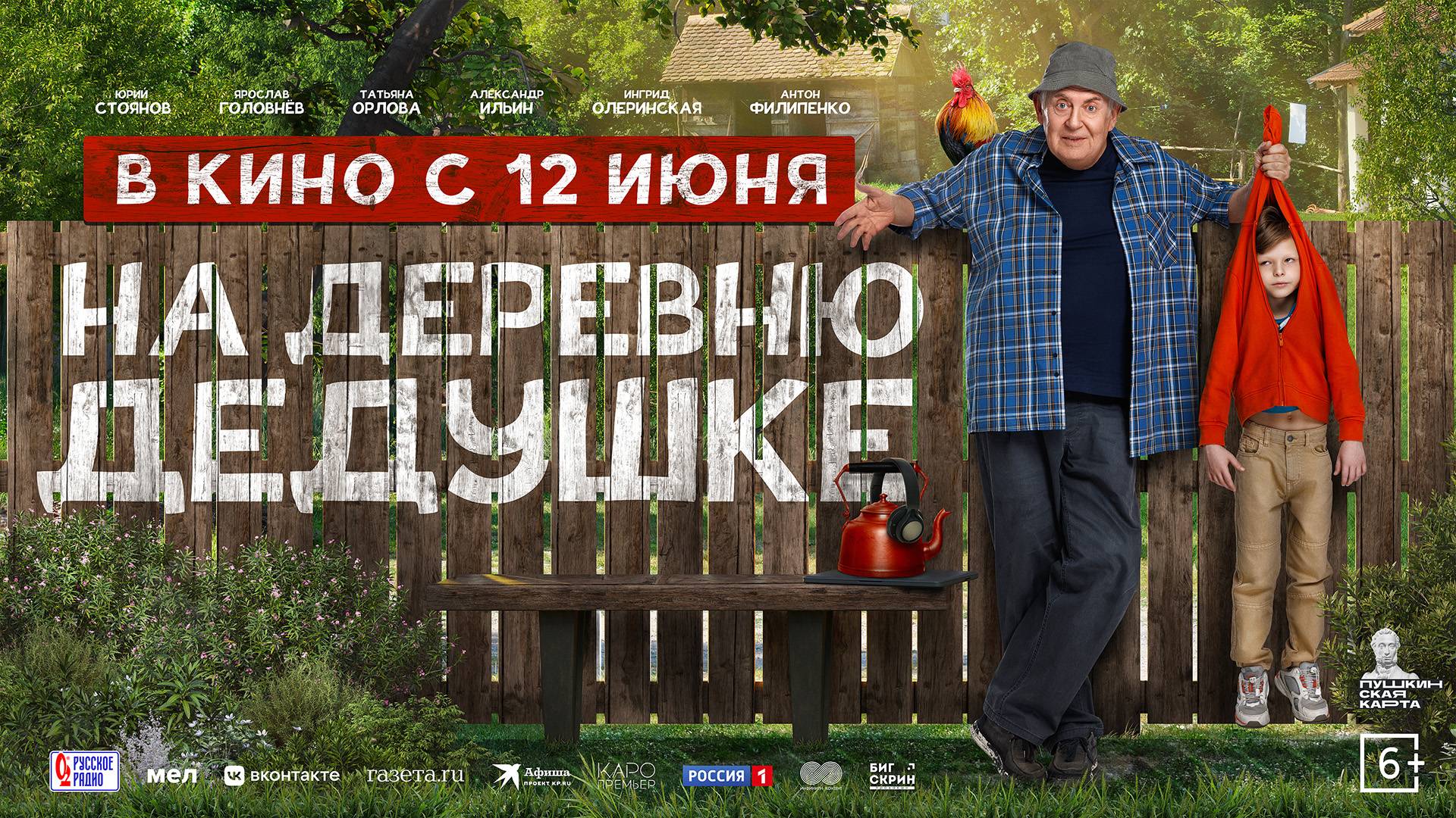На деревню дедушке 6+