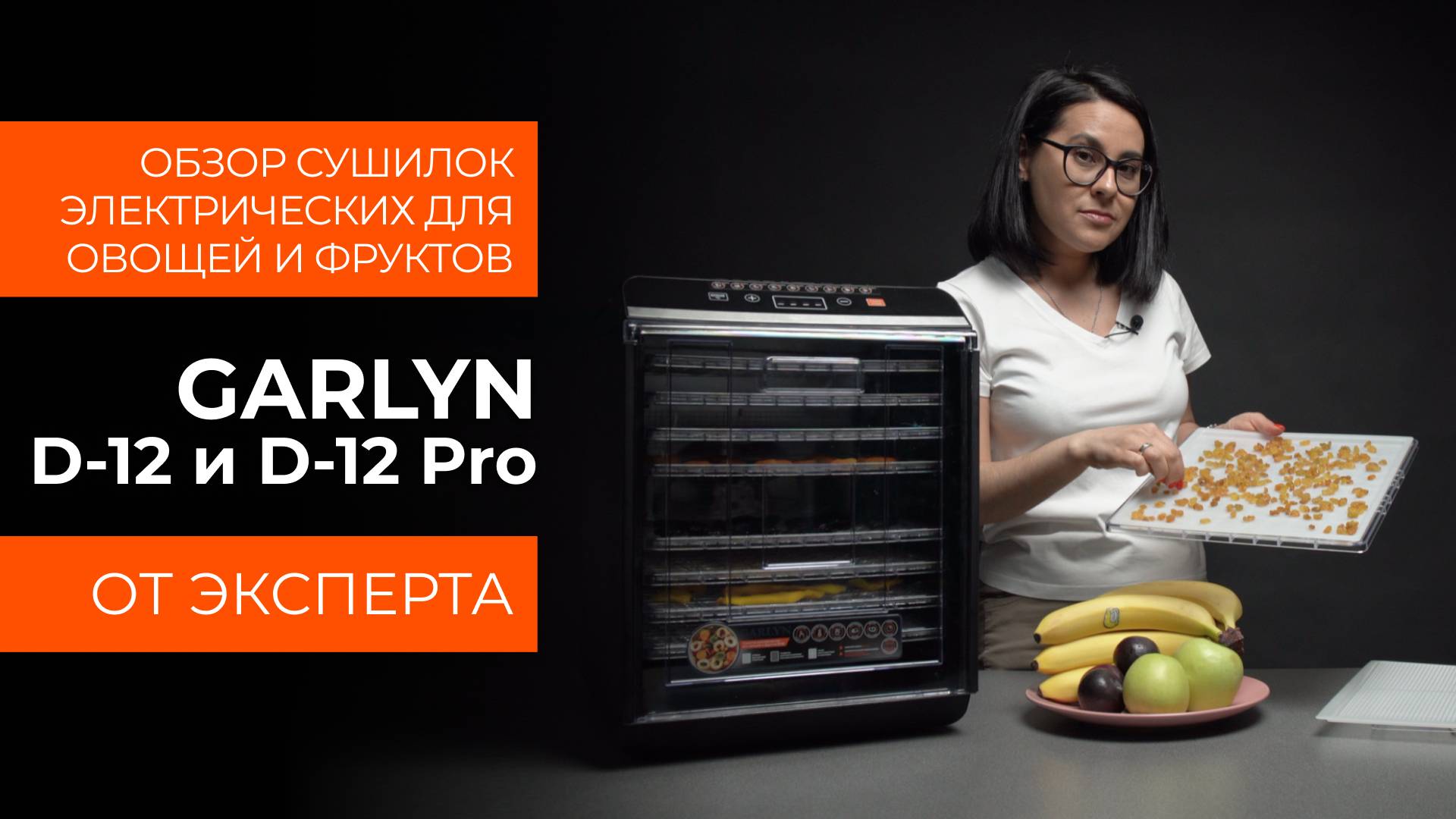 Подробный обзор электрической сушилки GARLYN D-12 и D-12 Pro от технического эксперта