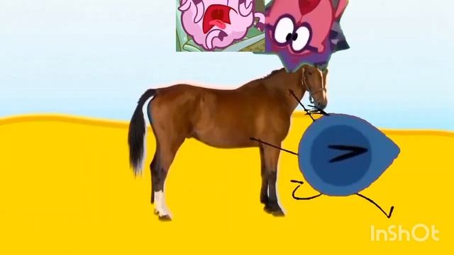 Побег От Ковбоя-Наггетса (Add Round, 6)
