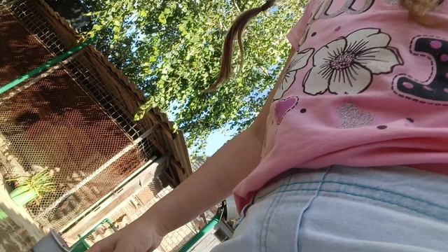 1000006506.mp4