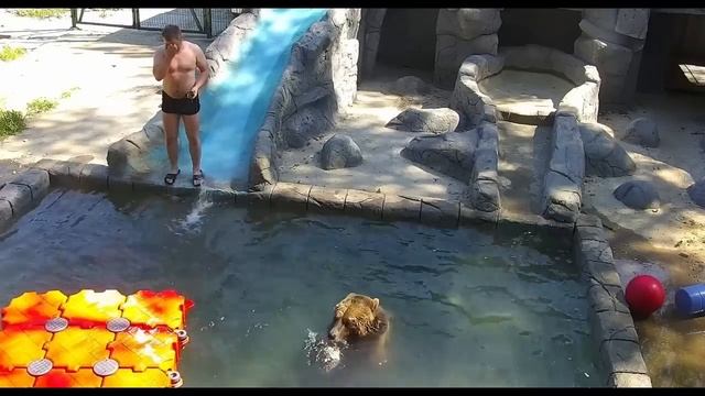 Медведь Мансур и Андрей развлекаются в бассейне Mansur Bear and Andrey having fun in the pool
