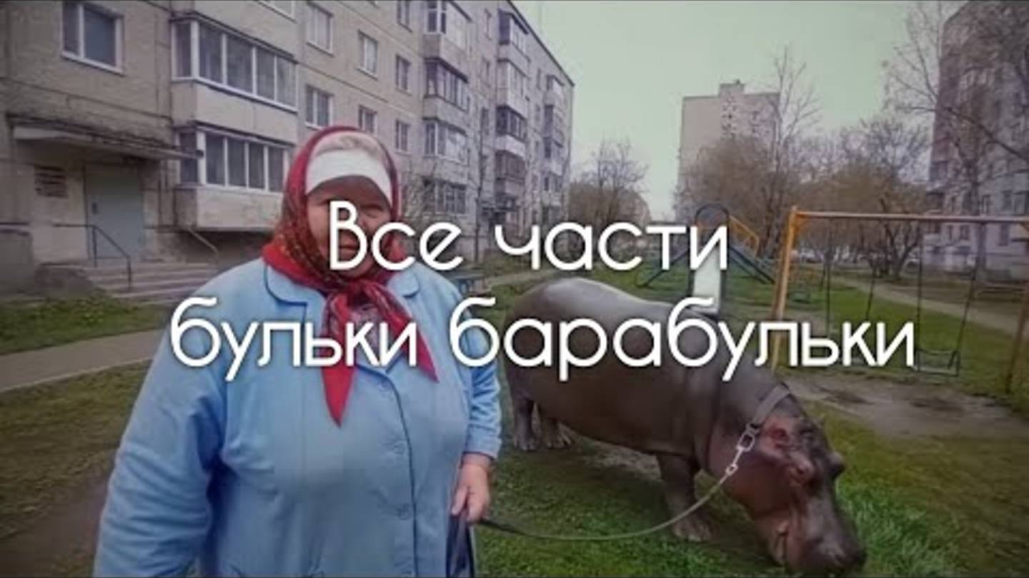 Бабушка с бегемотом все части #бегемот #булька #барабулька #пенсионерка #memes #мем