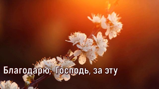 Благодарю Господь за нежную зарю. Христианское караоке