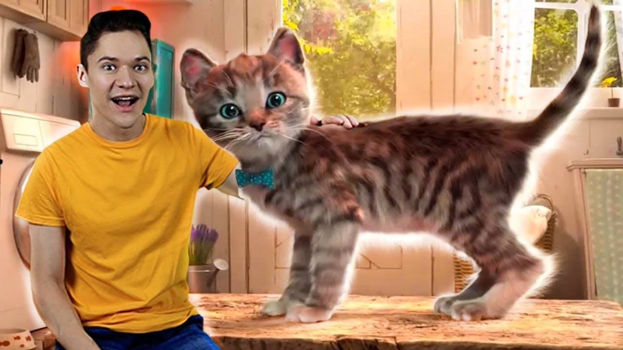 Приключения Маленького Котика - Я в Игре Ухаживаем за Котиком
