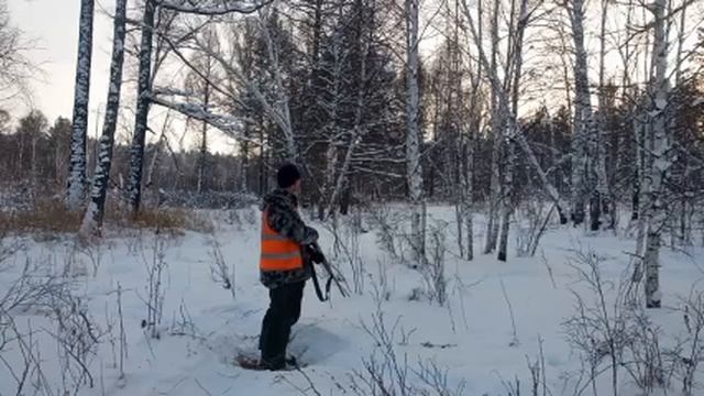 Загонная охота на косулю🫎