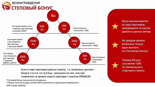Маркетинг план компании Whieda (Виеда)