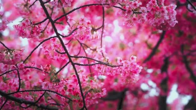 Best of May 2025 · Deep House Playlist · Trendy Background Music