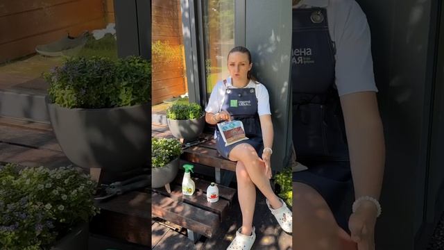 ЗАЧЕМ НУЖНА ЯНТАРНАЯ КИСЛОТА