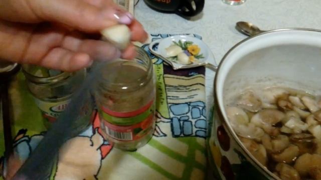 Как мариновать грибы МАРИНУЕМ ГРИБЫ МАСЛЯТА